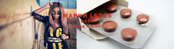 ПСИЛОЦИБИНОВЫЕ ГРИБЫ Володарск