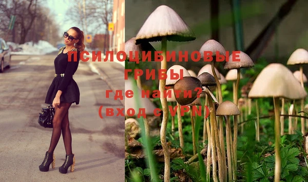 кокс Волосово
