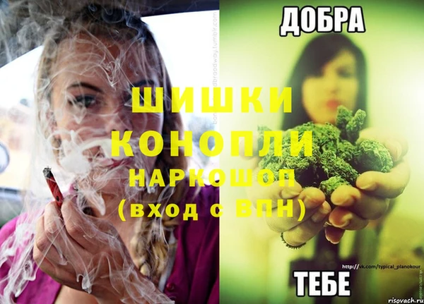 ПСИЛОЦИБИНОВЫЕ ГРИБЫ Володарск