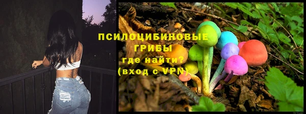 ПСИЛОЦИБИНОВЫЕ ГРИБЫ Володарск