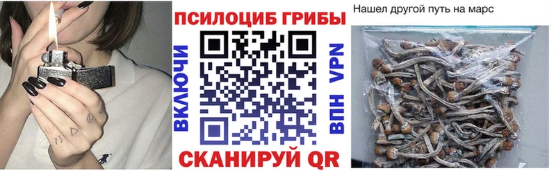 Галлюциногенные грибы ЛСД  blacksprut ссылки  Камешково 