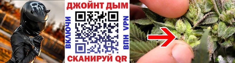 кракен онион  Камешково  Бошки Шишки планчик  купить наркотики сайты 